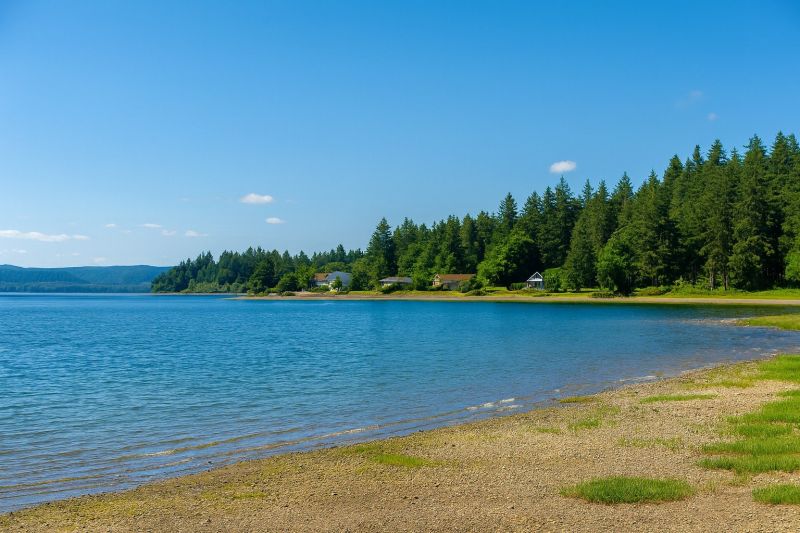 Roof Cleaning: Bellingham