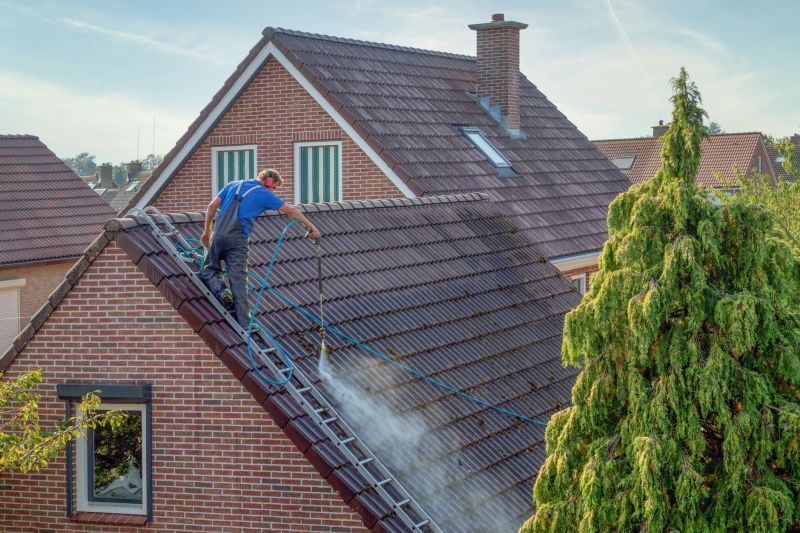 Roof Cleaning Pros
