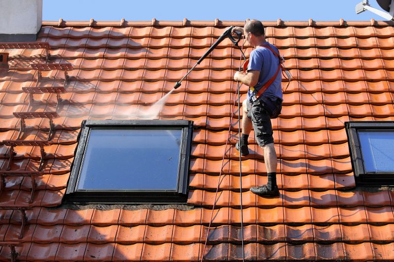 Roof Cleaning Pros