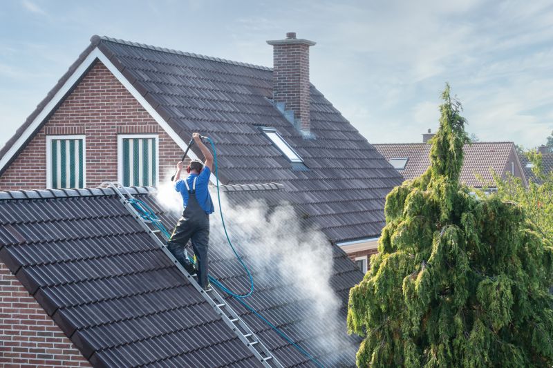 Roof Cleaning Pros