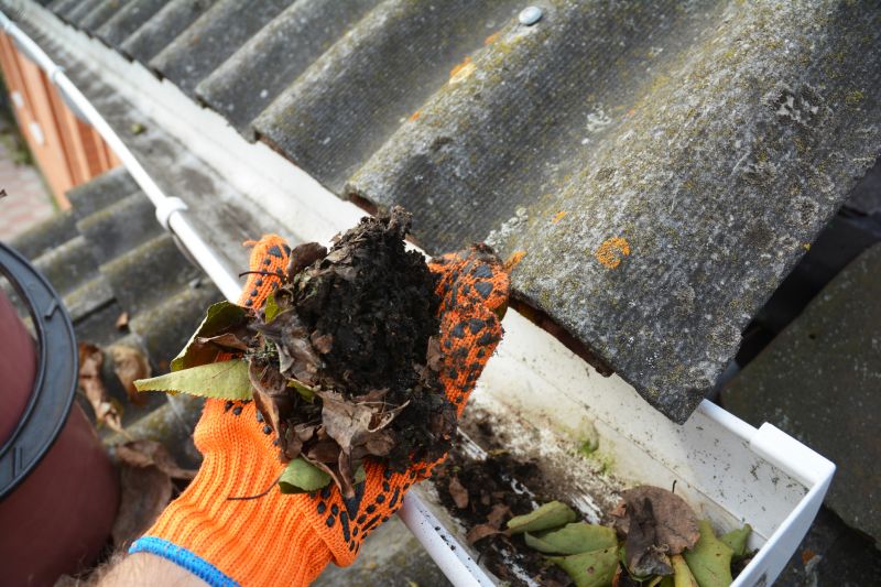 Gutter and Roof Debris Clearing