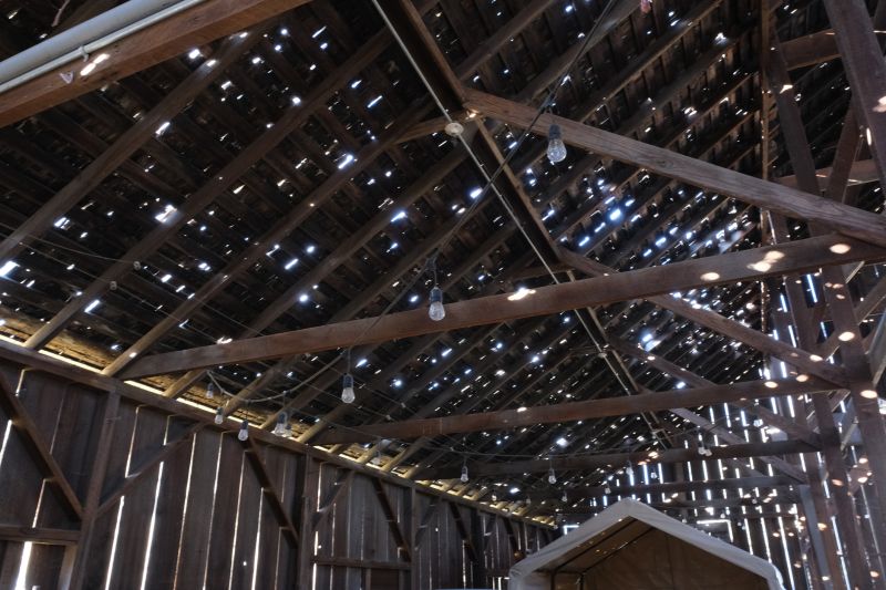 Roof Cleaning Services Cost — Cost of Roof Cleaning Services