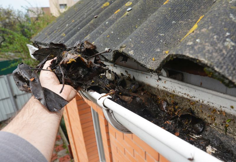Roof Debris Removal