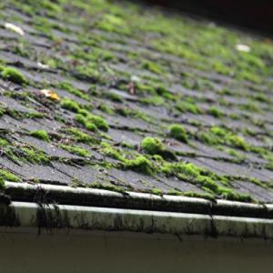 Lancaster Roof Moss Removal