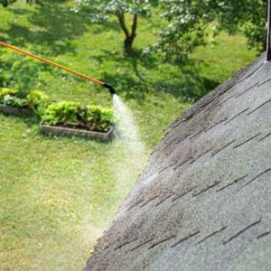 Lancaster Roof Algae Cleaning